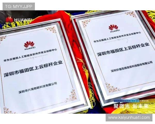 开云平台开户流程详解帮助新手快速注册并顺利开始游戏体验